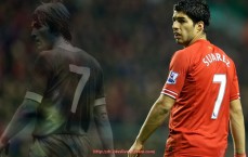 24VS体育直播-划船似的健身器材介绍与选择：介绍划船机类健身器材以及它们的效果