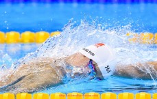 24VS体育直播-世俱杯观众满意度调查结果：各项评分指标汇总