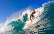 24VS体育直播-世俱杯门票购买全攻略：价格、渠道、退票政策一文打尽