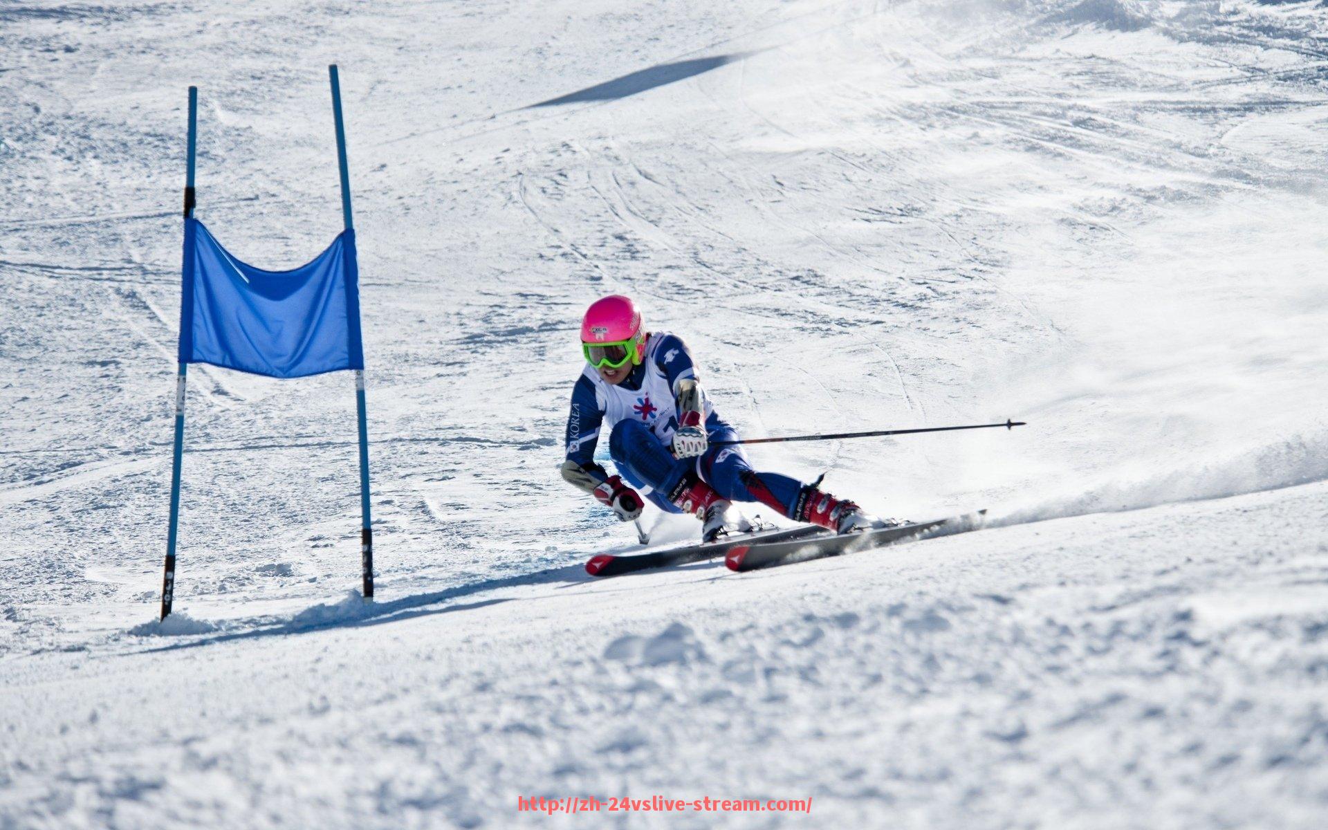 24VS体育直播-健身器材行业外贸发展现状与出口潜力分析